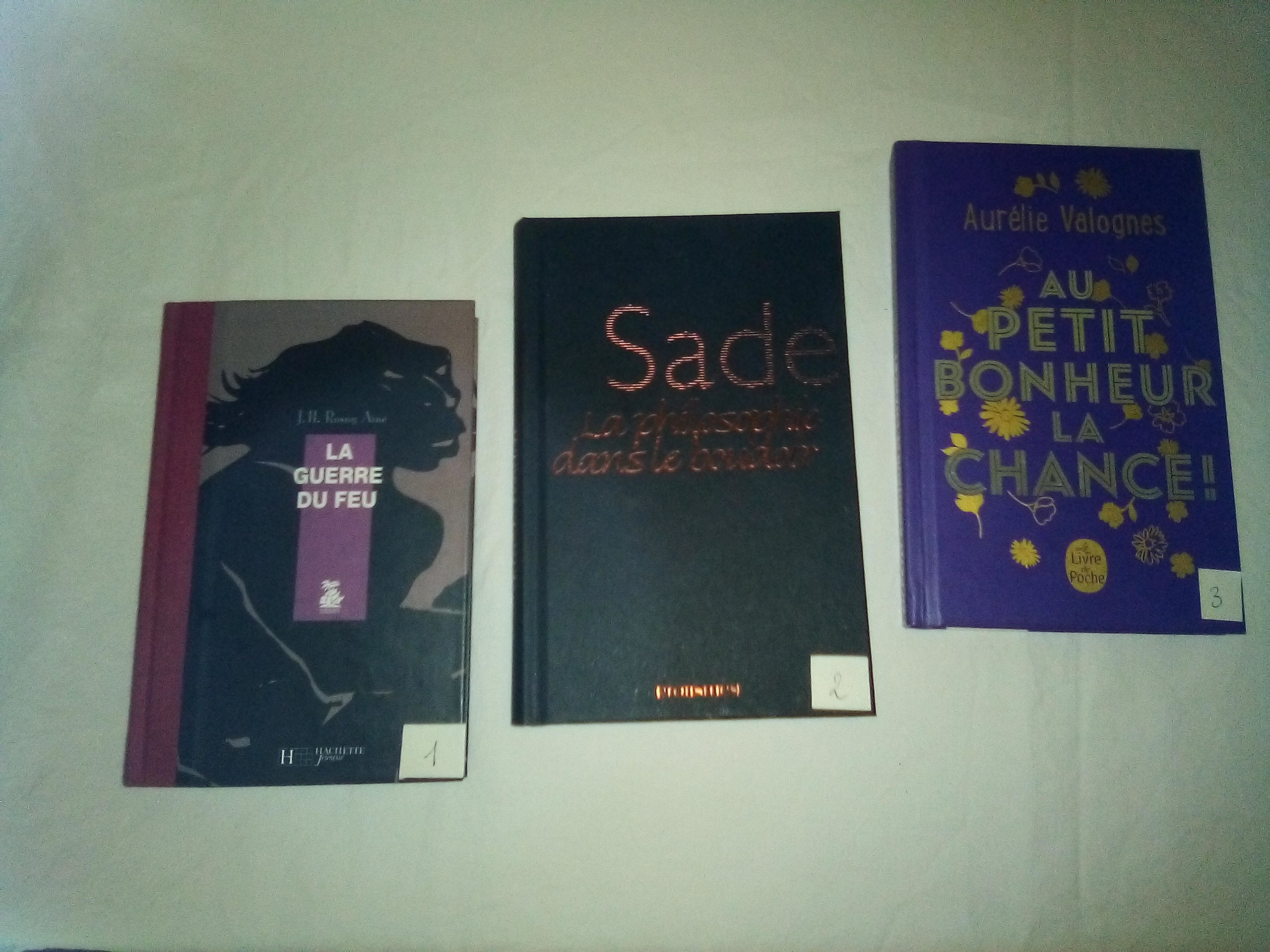 Livre Boîte à Secrets Sade Guerre Du Feu Bonheur