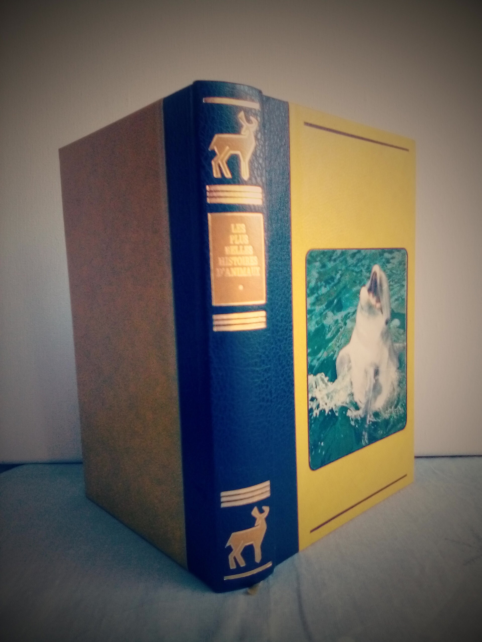 Boîte Livre à Secrets Imitation Cuir Jaune Dauphin