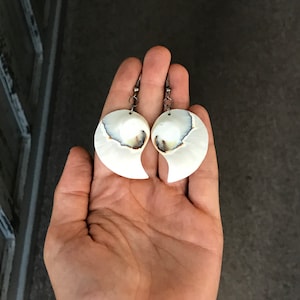 Vintage Curved White Shell Earrings with Opalescent Swirls, Simple and Natural #3414