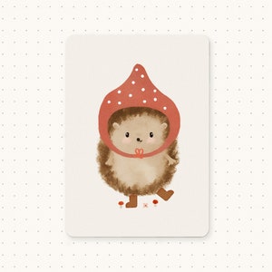 Cartão Postal Pixie Hedgehog - Cartão Postal Ouriço - Ouriço Fofo