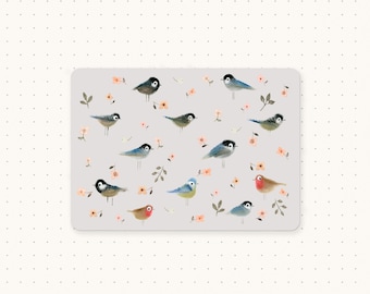 Cartões postais, cartões postais de urtiga e galho, cartão postal de pássaro, cartão postal de pássaros de jardim, cartão de chapim-azul, mini impressão, impressão de pássaro, cartões de pássaros de jardim, pássaros