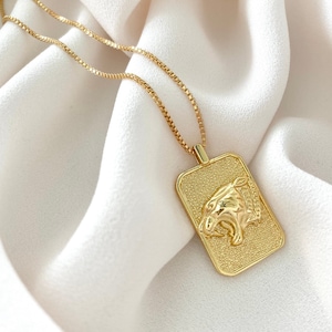 Gold Filled Lioness Pendant Necklace Lion Medallion Necklace Gift for Women Jewelry Boho Necklace Gold Filled Figaro Chain Bohemian