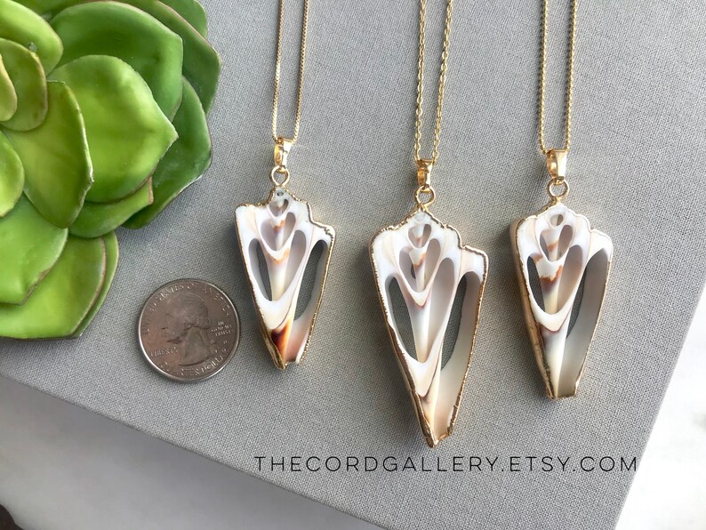 Real Shell Necklace Conch Shell Necklace Seashell Necklace Etsy