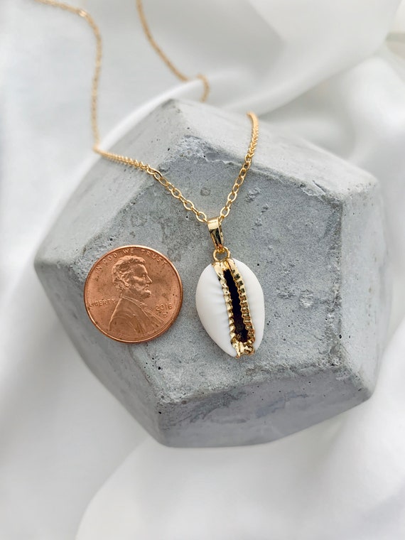 Check if There's Anything You Didn't Know About What is Cowrie
