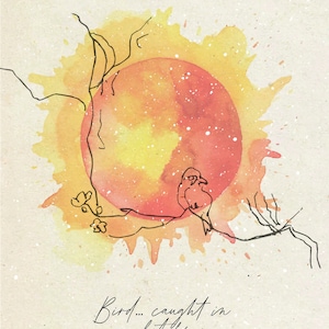 A6 Grußkarte — Sunset Bird Grußkarte