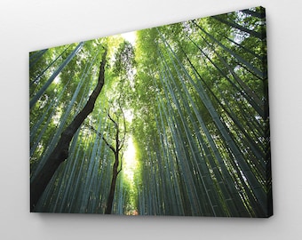 Bamboo Forest Print: Sunlight Nature Art - Canvas, Metal or Poster