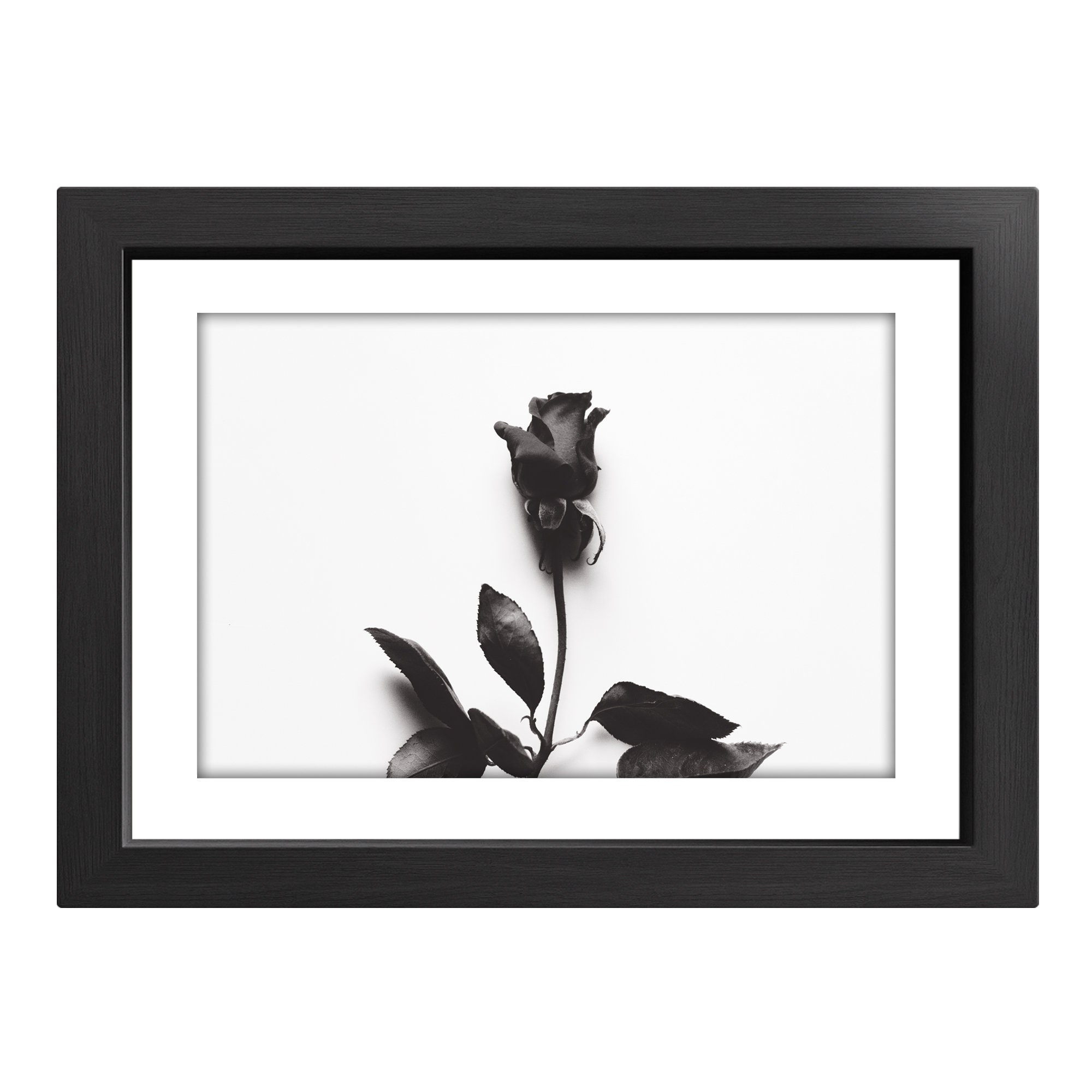 Black Rose Print Abstract Black White Modern Art Large Etsy