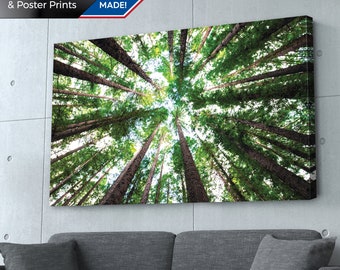 Forest Canopy Print: Nature Photography, Trees, Living Room Art