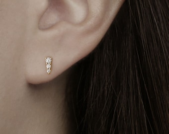 May include: A close-up of a person's ear with a small, delicate gold earring featuring a row of tiny diamonds.