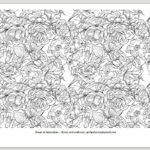 Roses and wildroses wallpaper Zen adult coloring quite full page