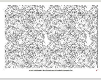 dessin coloriage zen pour adulte PDF à imprimer roses et églantines papier peint presque pleine page