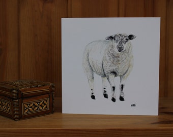 5 Sheep Greetings Cards printed from original watercolour of Sheep Notelet Card
