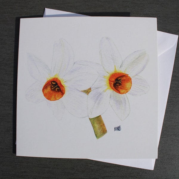 5 Daffodils Greetings Cards printed from original watercolour of a Daffodils - Narcissi Pack of 5 Notelets