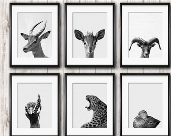 Nursery Wall Art Set Of 6 Black And With Animal Posters, Kitchen Wall Decor, Home Art Decor, Nursery Animals Print, Kid Room Decor, Print