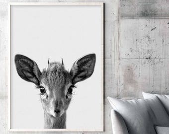 Nursery Wall Art, Deer Poster, Nursery Print Art, Black and White Wall Art Decor, Print Poster,  Nursery Wall Art Decor, Kitchen Wall Decor