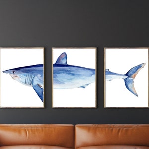 Watercolor Shark - set of 3 ocean life Illustration, Watercolor nursery sea world poster,Fish Home and nursery Wall Art decor,  Art prints