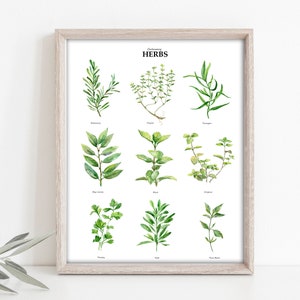 Culinary Herbs watercolor poster, Watercolor kitchen print, Botanical Plant wall art, Watercolor Home & Kitchen decor,  herbs wall art Decor