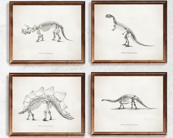 Dinosaur Print - set of 4, Paleontology poster, Extinct animal vintage wall art, Dinosaur skeleton anatomy print, Science illustration art