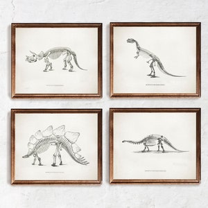 Dinosaur Print - set of 4, Paleontology poster, Extinct animal vintage wall art, Dinosaur skeleton anatomy print, Science illustration art