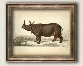 Rhinoceros vintage print, Animal art print, Antique Rhinoceros poster, Zoology vintage wall decor, Home wall art animal illustration