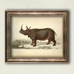 Rhinoceros vintage print, Animal art print, Antique Rhinoceros poster, Zoology vintage wall decor, Home wall art animal illustration