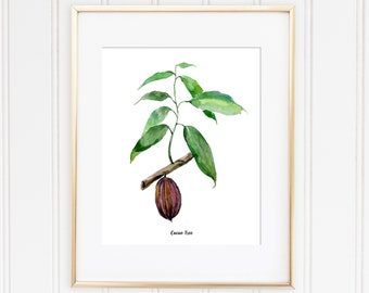 Cacao Tree Watercolor Plant, Botanical Illustration, Kitchen and Home wall art decor, Watercolor Poster, Botanical Print, Cacao Wall decor