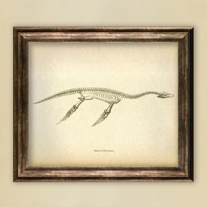 Paleontology Print, Plesiosaurus skeleton poster, Jurassic Period reptile illustration, Paleontology student gift, Dinosaur era art print