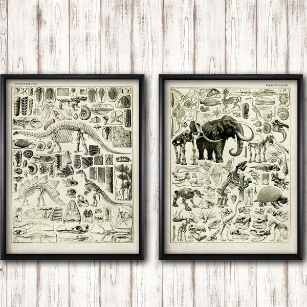 Vintage Paleontology Posters Set, Dinosaur & Fossil Wall Art