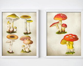 Vintage Mushroom Botanical Prints, Antique Illustration Art, Set of 2