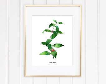 Coffee Plant Watercolor Illustration, Botanical Kitchen Art