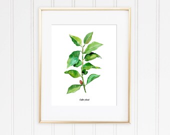 Coffee Plant Watercolor Print, Botanical Kitchen Art