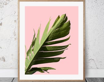 Banana Leaf tropical poster Banana wall art decor Tropical leaf minimalist print tropical Wall art decor tropical Banana wall art Pink Green