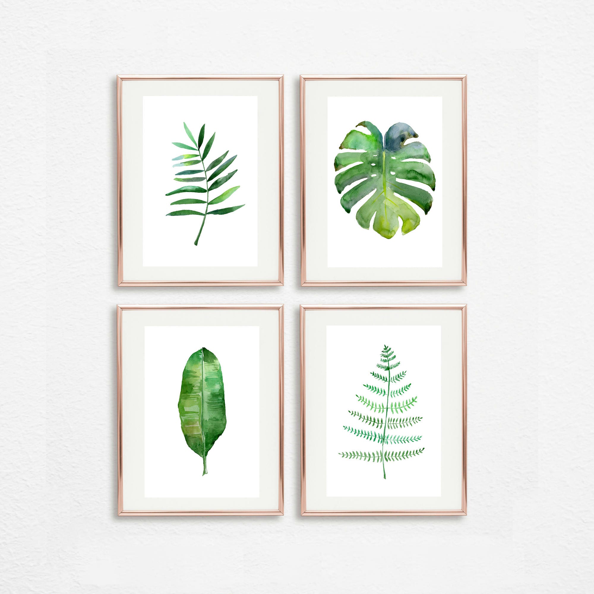 Tropical Art set of 4 watercolor botanical images Monstera | Etsy