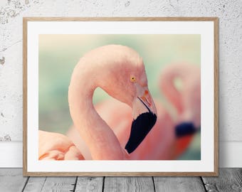 May include: Framed print featuring a close-up of a flamingo's head and neck. The flamingo has pink feathers, a black beak, and a yellow eye. A second flamingo is blurred in the background. The print is in a light brown wooden frame.