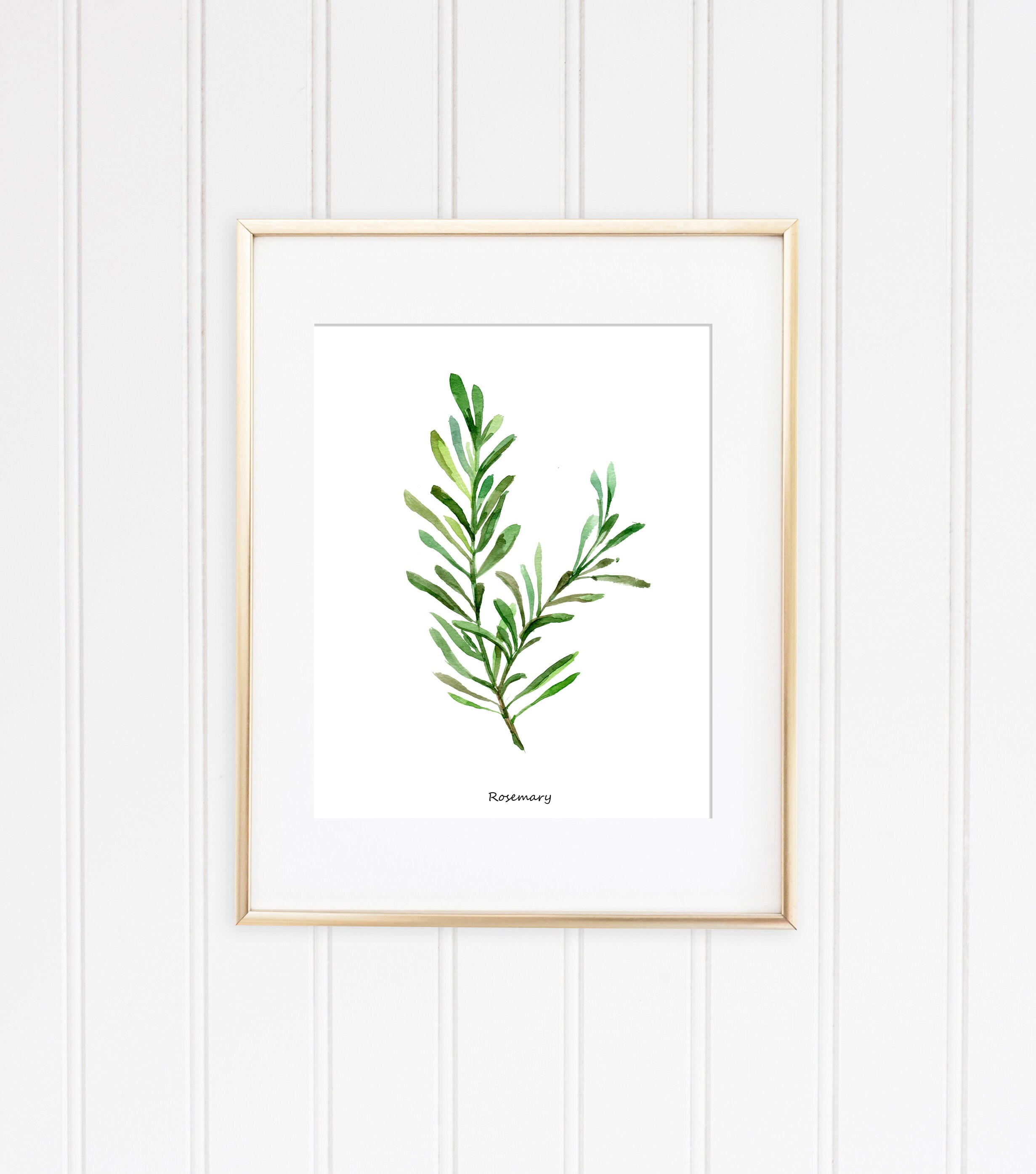 Watercolor Herbs Botanical Print Set – Kitchen Wall Art - Etsy