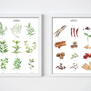 Watercolor Kitchen Herbs & Spices Art Prints - Set of 2 | Botanical Wall Decor for Culinary Enthusiast