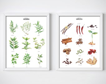 Herbs - Spices aquarelle affiche ensemble de 2, imprimé culinaire, Art mural de cuisine, affiches d'art, aquarelle botanique art Home Wall Art décor