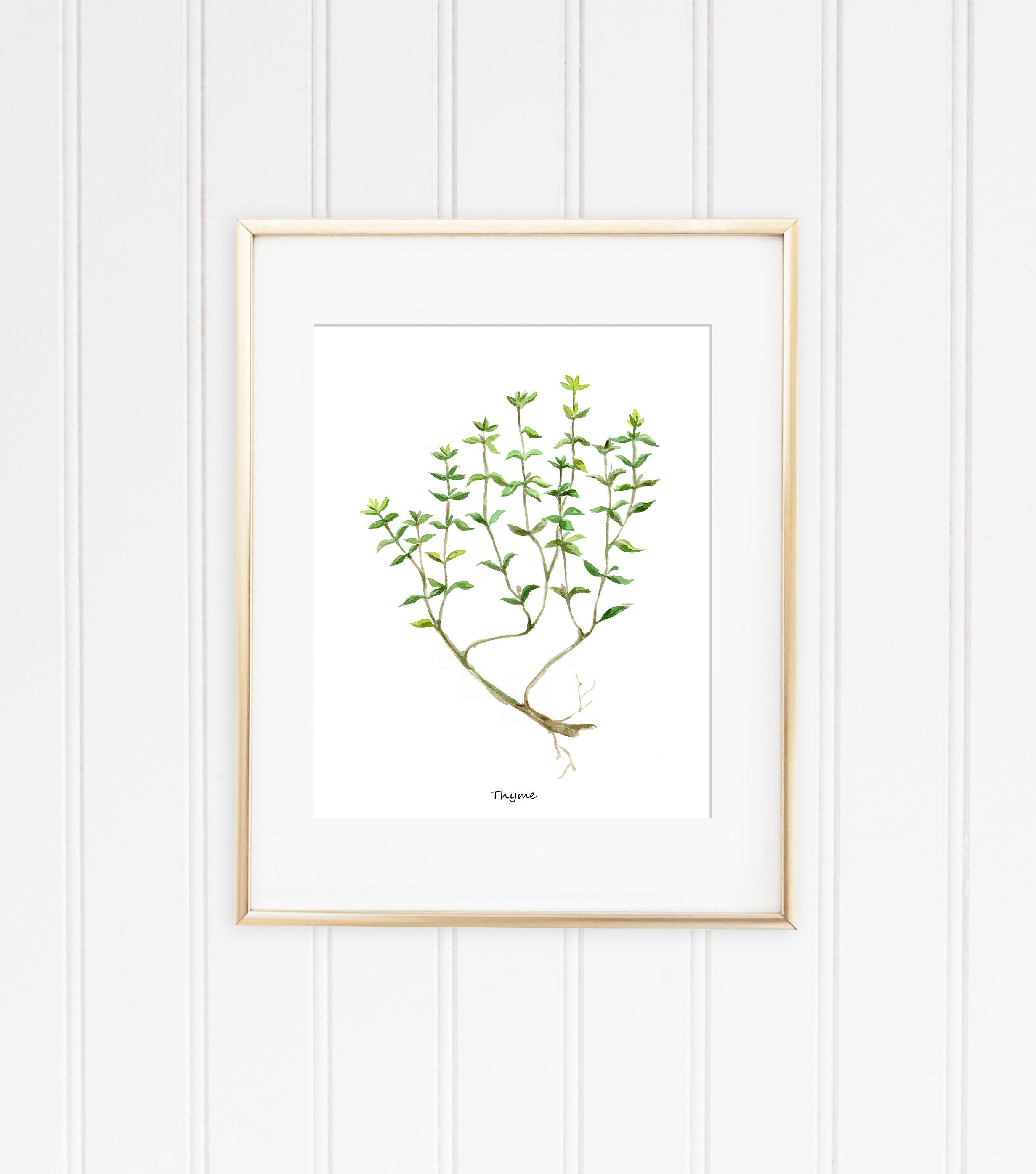 Watercolor Herbs Botanical Print Set – Kitchen Wall Art - Etsy