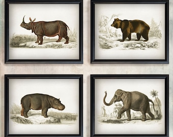 Zoology Print - set of 4 vintage posters, Antique Animal wall art, Zoological art print, Hippopotamus Bear Rhinoceros Elephant illustration