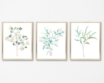 Eucalyptus set of 3 watercolor botanical illustrations, Eucalyptus branch poster, watercolor greenery wall art print, Silver dollar, Willow