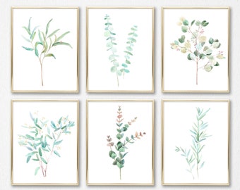 Eucalyptus set of 6 Watercolor botanical illustrations, Eucalyptus types Willow, Silver dollar, True Blue, Eucalyptus Minimalist wall art