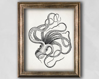 Vintage Octopus Print, Sea Life Nautical Wall Art