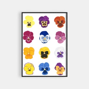 Botanische viooltjesrassenkaart - Giclée-kunstafdruk