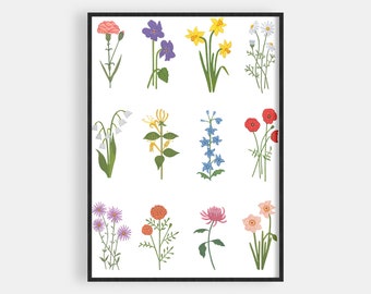 May include: A printable poster featuring 12 different types of flowers, including a yellow carnation, purple violet, yellow daffodil, white daisy, white lily of the valley, yellow honeysuckle, blue delphinium, red poppy, purple aster, orange calendula, pink chrysanthemum, and pink narcissus.