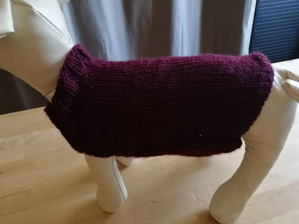 Pull Bordeaux Chien ou Chat S M