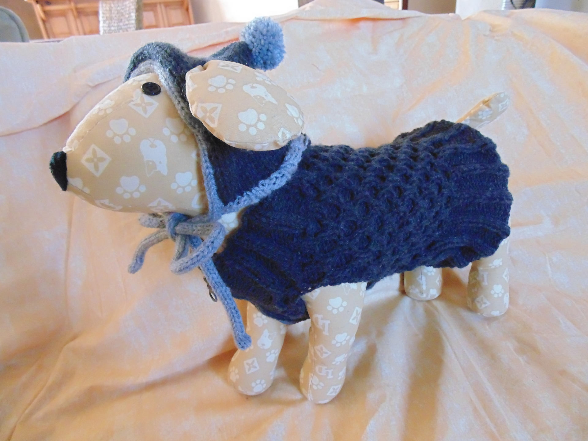 Ensemble Bonnet et Manteau Pour Chien S