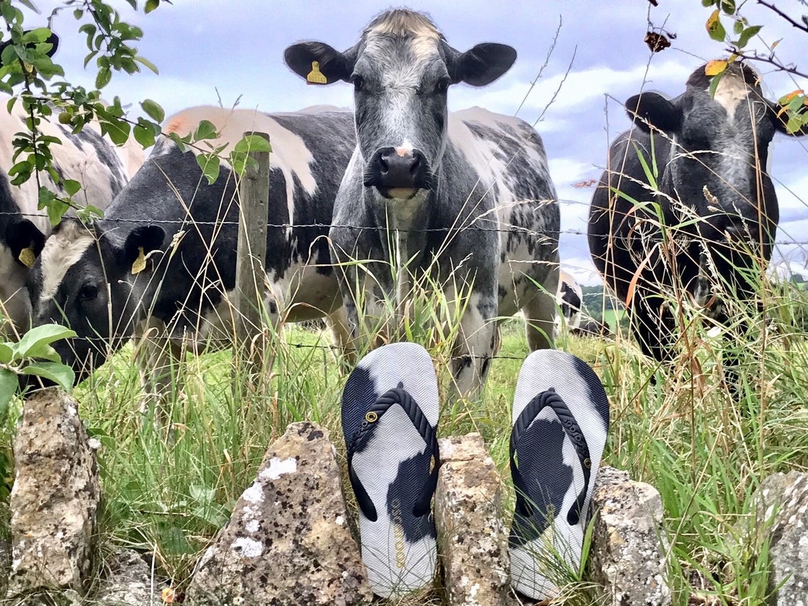 Oscaroos Cow Flip Flops Etsy