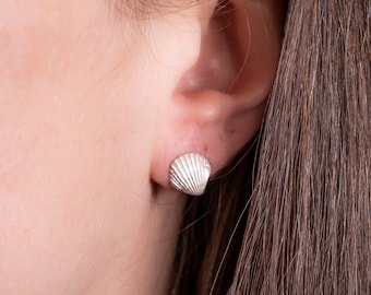 Tiny silver shell earrings, stud silver seashell earrings, clam shell earrings, minimal stud earrings, summer jewelry, silver shell studs