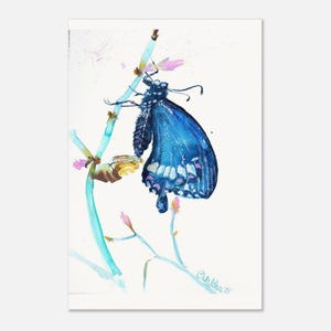 Puede incluir: Una pintura de acuarela de una mariposa azul vibrante con bordes de alas negros y manchas blancas, posada sobre un tallo fino de color azul claro con pequeños brotes rosados. La obra presenta una firma en la esquina inferior derecha.