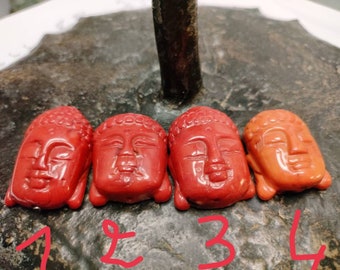 Buddha-Kopf, rote Gorgonenperle